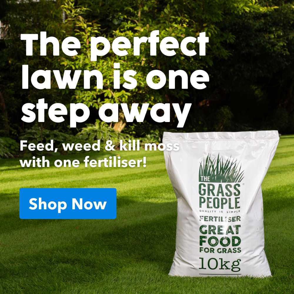 Fight moss with the best