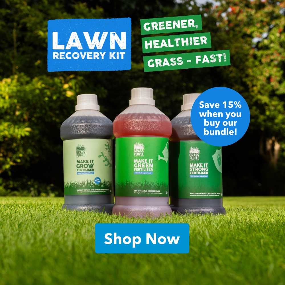 Lawn recovery kit