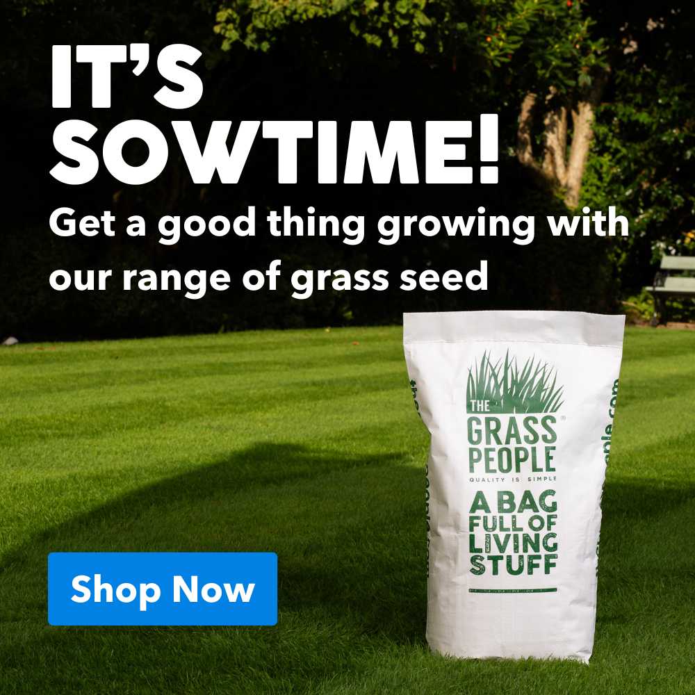 ITS SOWTIME