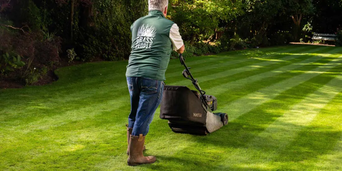 8 Steps to achieve the perfect lawn