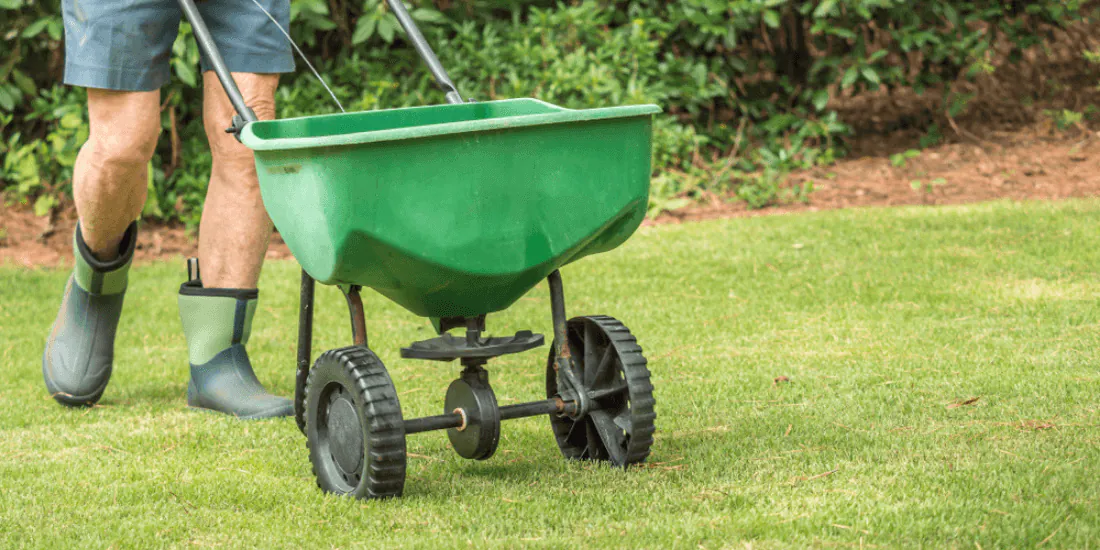 When to feed my lawn