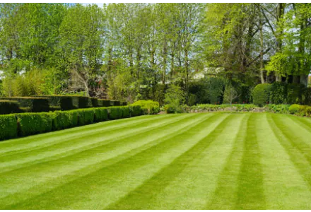 Landscapers Grass Seed