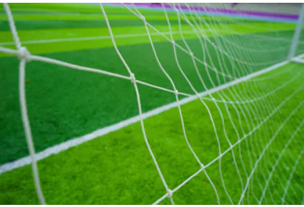 Sports Grass Seed