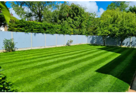 Home Grass Seed