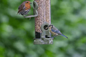 Flo Lifetime Feeder