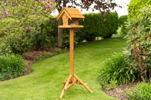 Warbler Bird Table