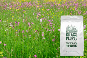 Heavy Clay Wildflowers