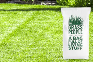 IMPRESS: Clay Master Lawn Seed