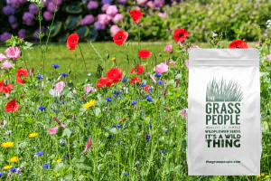Annuals Mix Wildflowers