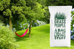 Restore: Self-Repair Lawn