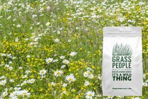 Sandy soils wildflowers