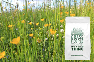 Simply wildflowers mixture