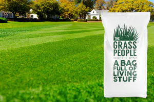 SUPERSTAR: Back Lawn