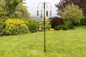 Select Bird Station
