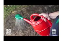 THRIVE: Sandy Soils - 6