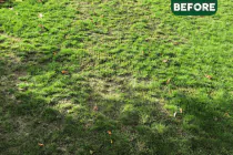 SLOW RELEASE: Autumn / Winter Fertiliser - 2