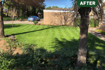 SLOW RELEASE: Autumn / Winter Fertiliser - 3