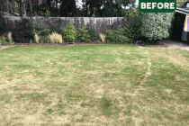 THRIVE: Sandy Soils - 4