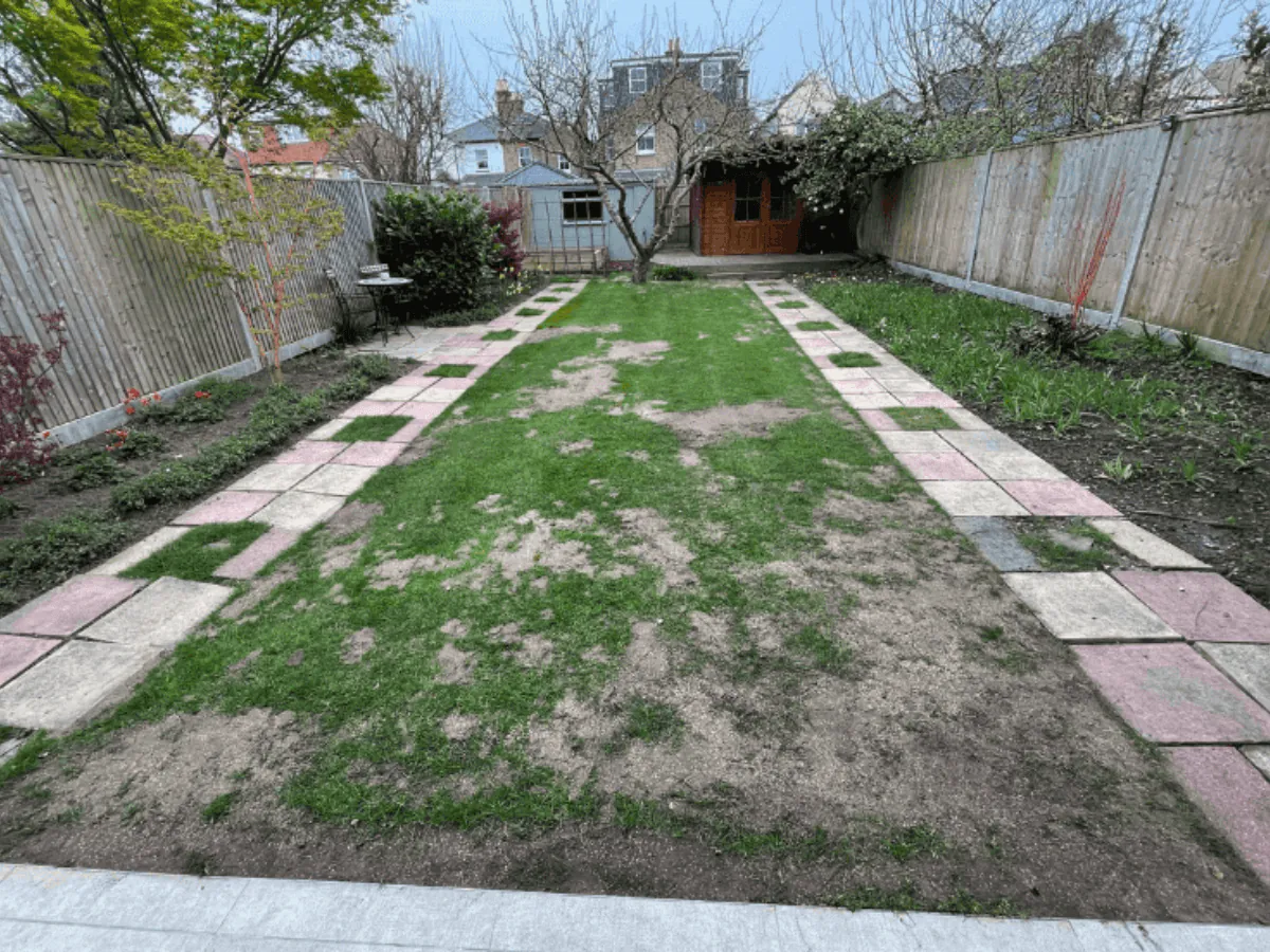 Before Image